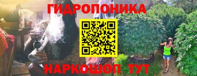 шишки Бугуруслан