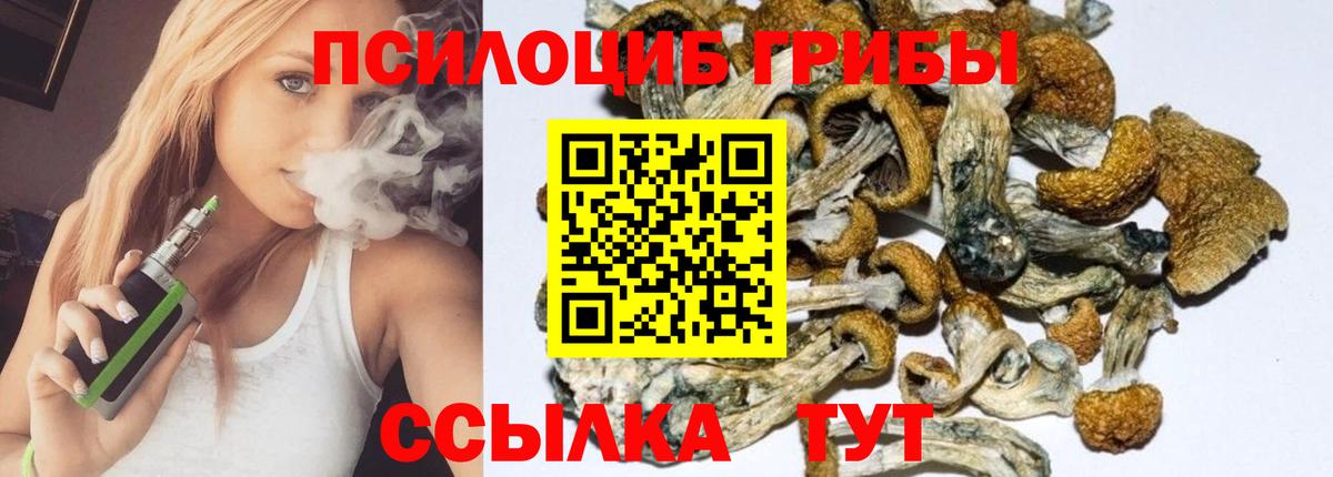 Галлюциногенные грибы GOLDEN TEACHER  Псилоцибиновые грибы Psilocybe  Отрадное  Вход с VPN 